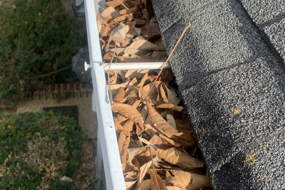 Pine Hills Gutter Cleaning